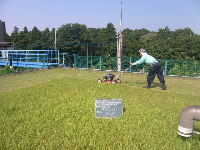 大規模施設の緑地