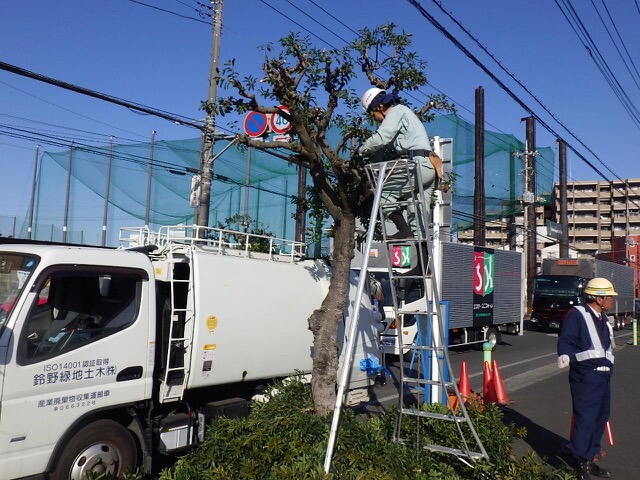 街路樹剪定